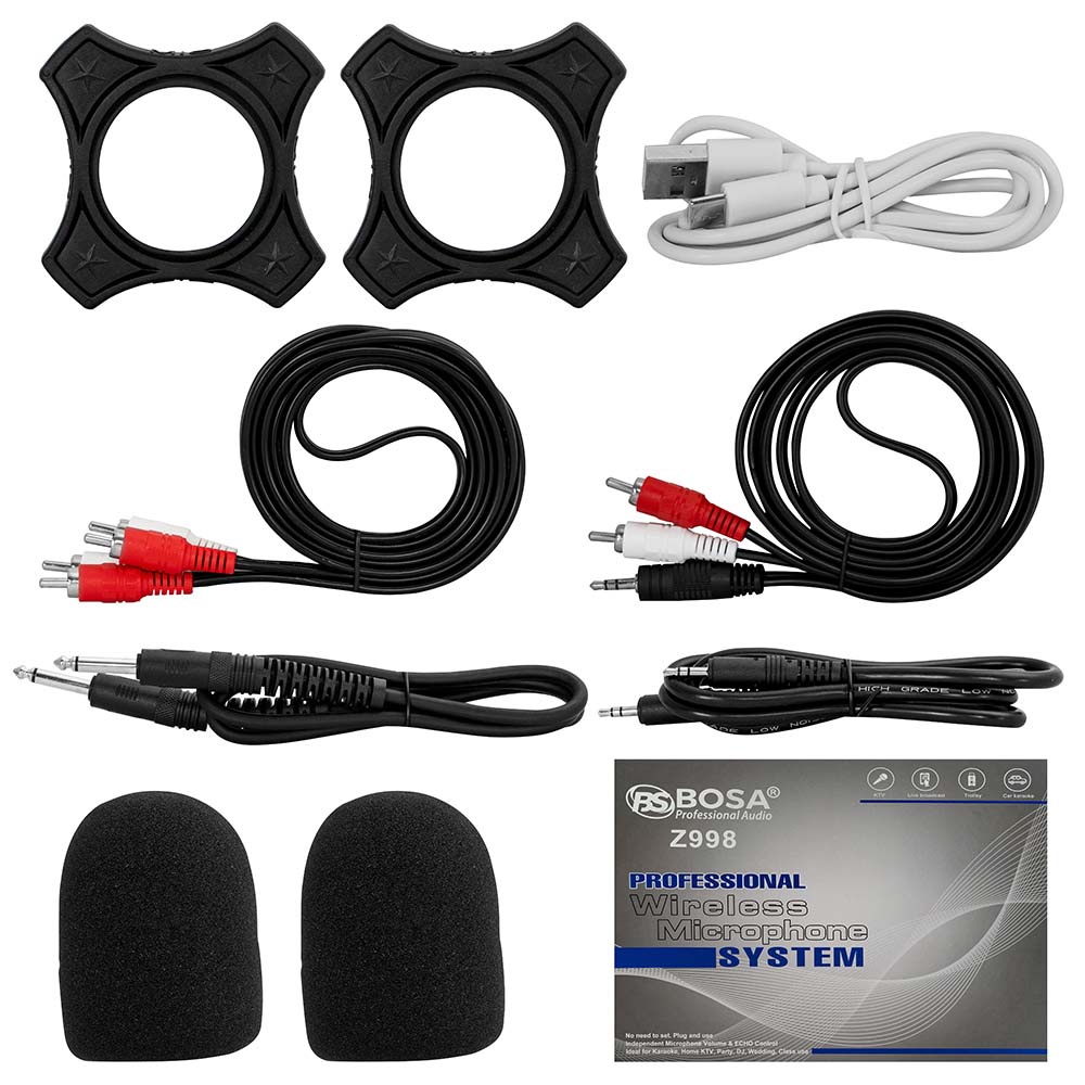 Micro không dây DSP 3 in 1 Z998 (Bluetooth)