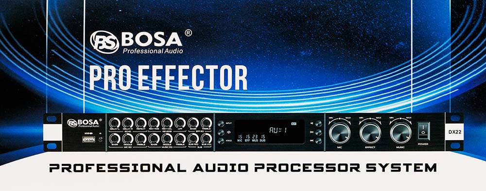 Vang cơ bosa DX22