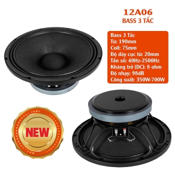 BASS 3 TẤC 12A06