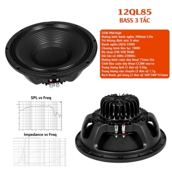 BASS 3 TẤC 12QL85