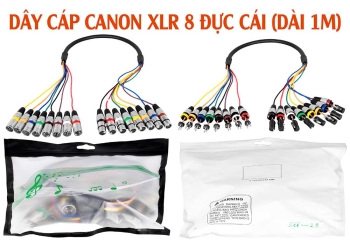 DÂY CÁP CANON XLR 8 ĐỰC CÁI (DÀI 1M)