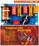 Phân tần loa F-2A cộng (2WAY) - 2025