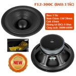 BASS 3 TẤC F12-300C